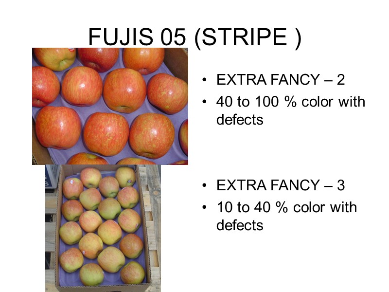 FUJIS 05 (STRIPE ) EXTRA FANCY – 2  40 to 100 % color